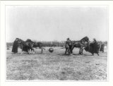 Historic Print XL Re-enactment of Otto von Guerickes experiment proving atmospheric pressure 2 teams of