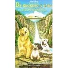 Homeward Bound: The Incredible Journey (De Regreso a Casa) by  Don Alder, Ed Bernard, Kevin Chevalia, Anne Christianson, and Ted D'Arms 
