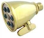 Fire Hydrant Spa Presidential 6 Jet Shower Head in Brass