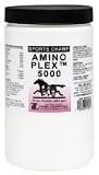 Amino Plex 5000 - 16 oz Powder