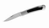 Kershaw Indian Ford-Carbon Fiber Inlay Folding Lock Back Knife