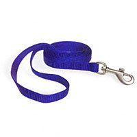 Aspen Pet Snag Proof Cat Leash