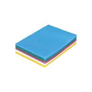 【クリックで詳細表示】コクヨ 再生クリヤーホルダー A4 5色ミックス 100枚パック CビTP-CH-140N