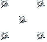 Tampa Bay Lightning Double Roll of Wallpaper