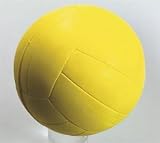 Official Foam Volleyball