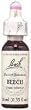 Beech - 20 ml - Liquid