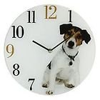 BEST OF BREED Jack Russell Dog Glass Wall Clock W6571 30CM/12"