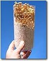 The Childrens Mushroom Garden- Indoor/Outdoor Growing Kit- Great Gift Idea: Educational learning toy or science project. Grow Edible Enokitake Mushrooms.