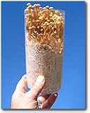 The Childrens Mushroom Garden- Indoor Growing Kit- Great Gift Idea: Educational learning toy or science project. Grow Edible Enokitake Mushrooms.
