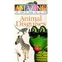 Amazing Animals - Animal Disguises [VHS]
