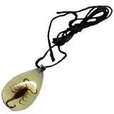 Scorpion Pendant - Medium Teardrop-(Glow In The dark)