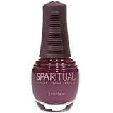 SpaRitualFall2009ForbiddenNailLacquerCollection