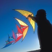 Prism Micron 5-Stack Kite by Prism Designs