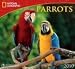 Parrots National Geographic 2010 Wall Calendar