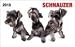 schnauzer9  - Schnauzer In Your Face 2010 Wallet Calendar