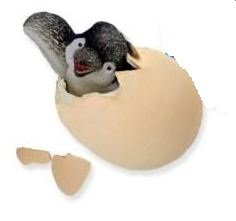 Image #1 of GeoCentral Hatch