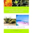 Natural History Guide to the Northwestern Gulf of California and Adjacent Desert by Roy S. Houston