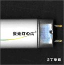 蛍光灯の虫