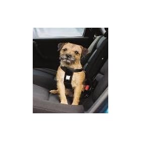 Ancol Car Travel Harness (Small)