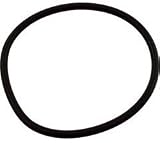 Waterway Clearwater Sand Filter Collar Gasket (02' & after Models) 805-0435