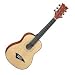 Dean Playmate 3/4 Size Mini Acoustic with Gig Bag