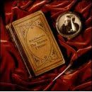The Stories I Write