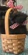 Toto in a Basket