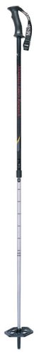 MSR Denali II Trekking Poles