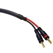 Cables to Go 29179 Velocity 12 AWG Speaker Cable, Blue (25 Feet/7.62 Meters)