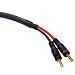 Impact Acoustics Velocity Speaker Interconnect - Speaker cable - 12 AWG - banana (M) - banana (M) - 15 ft - blue