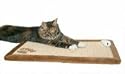Plush Brown Cat Kitten Scratch Mat Claw Scratching