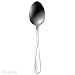 Oneida Flight Serving Spoon Flatware