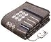 SANYO �d�C�ѕz �D BKS-418(H)