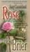 Rose from Brier