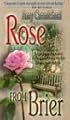 Rose from Brier