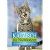 K�tzisch f�r Nichtkatzen: So verstehen Sie Ihre Samtpfote