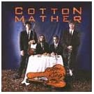 Cotton Is King