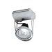 Jive 1 Light Mono Spot Light Par 30 Plati