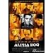 Alpha Dog