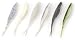  : Zoom® Super Fluke® Plastic Worm