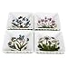 Portmeirion Botanic Garden Square Mini Dishes 3