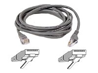 Belkin Cat5e RJ45-Netzwerkkabel 30 m, grau, ziehbest&auml;ndig angespritzt Preisvergleich