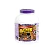Gainer Whey Protein Shake, Chocolate - 91.15 oz (5 lbs 11.15 oz ) 2.584 kg