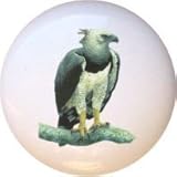 Birds Harpy Eagle Drawer Pull Knob