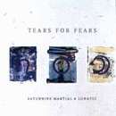 Saturnine Martial and Lunatic by Tears For Fears