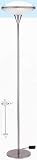 LAMPS BEAUTIFUL Dome Contemporary Glass and Steel Floor Lamp by Litesource--Excellent customer service--see our feedback.