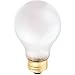 WP 100W Fros Rough Bulb