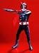 Real Action Heroes 220 NO. 5 仮面ライダー旧2号