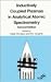 Book Inductively Coupled Plasmas in Analytical Atomic Spectrometry, 2nd Revised and Enlarged Edition