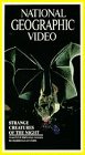 National Geographic's Strange Creatures of the Night